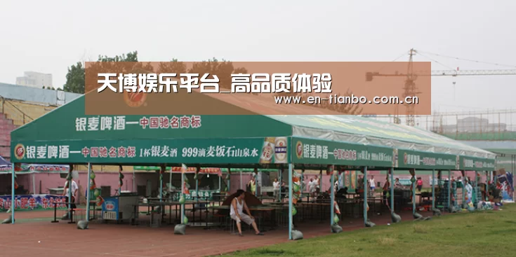 案例标题七