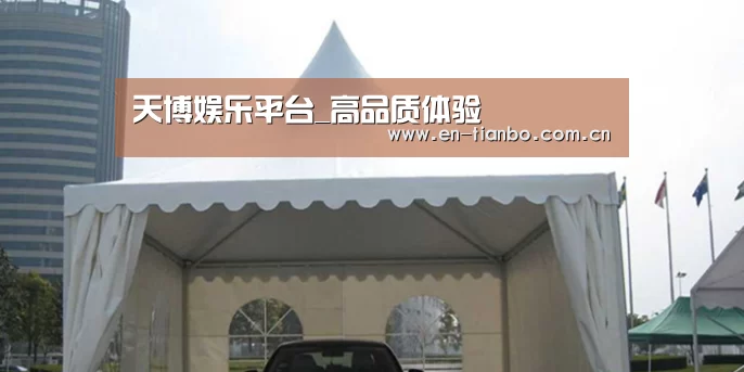 案例标题八