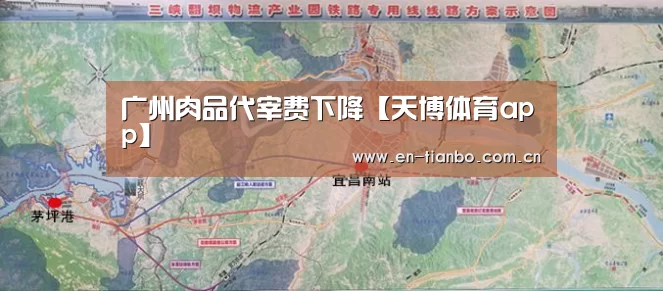 天博体育app