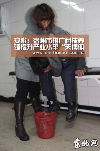 安徽:宿州市推广科技养殖提升产业水平“天博体育下载”(图1) 天博体育app