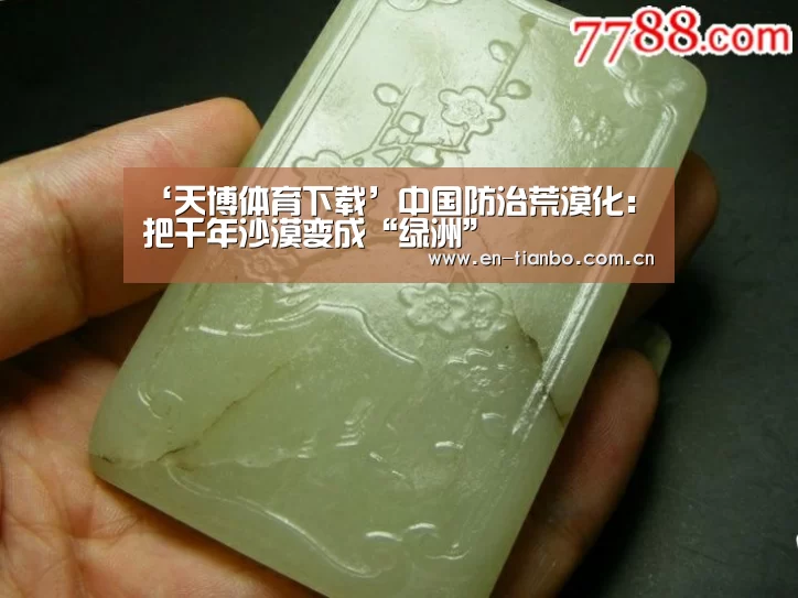 天博APP互动