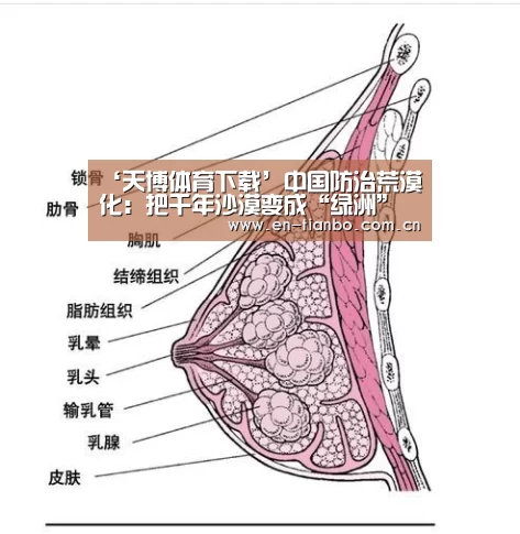 天博体育app